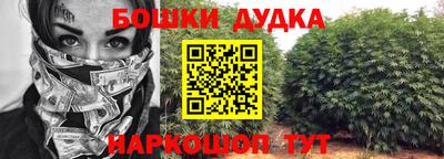 твердый Новодвинск