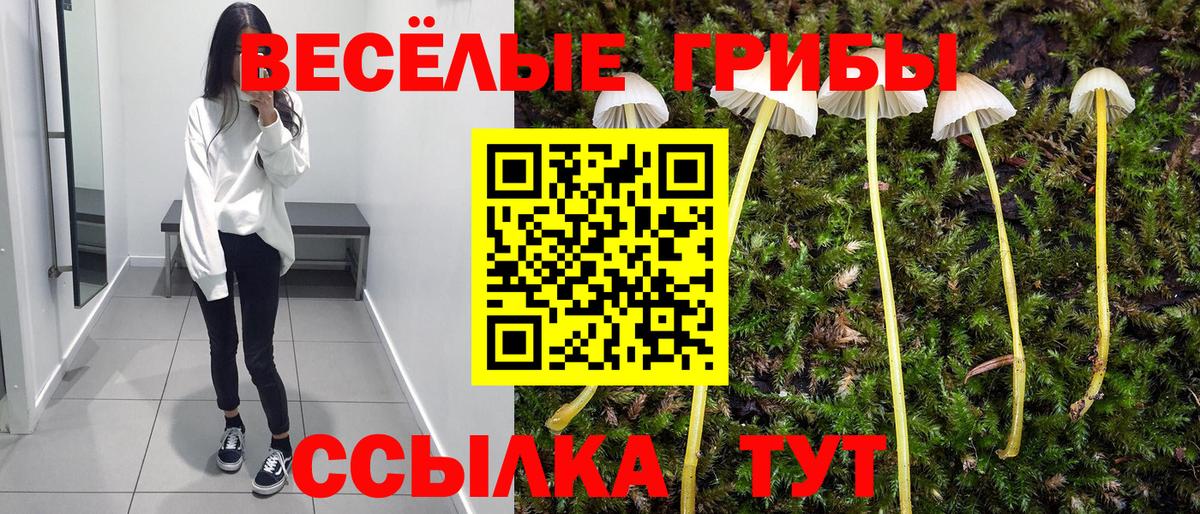 Псилоцибиновые грибы GOLDEN TEACHER  Галлюциногенные грибы мицелий  сколько стоит  Вход с VPN  Усть-Джегута 